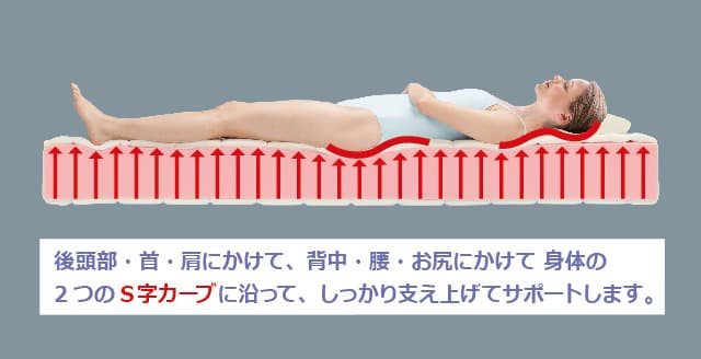 マニフレックスサポート